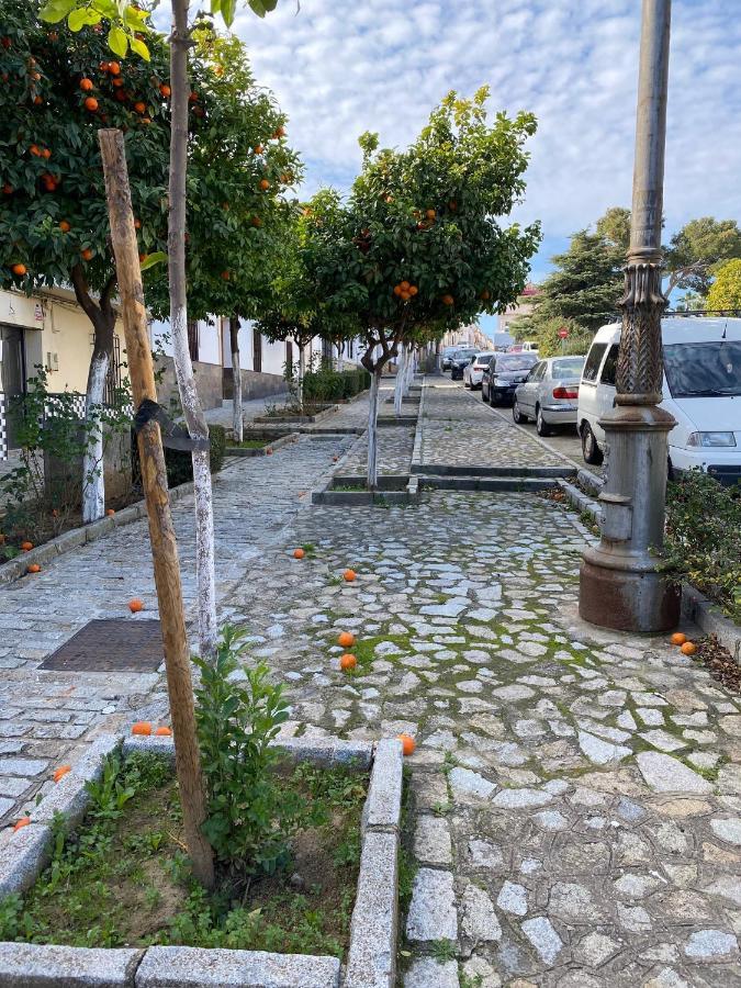 Sevilla. Gerena Casa Rural Para Familia O Profesionales Exteriér fotografie