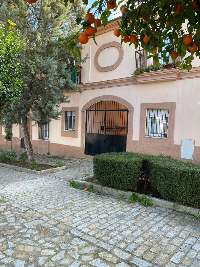 Sevilla. Gerena Casa Rural Para Familia O Profesionales Exteriér fotografie
