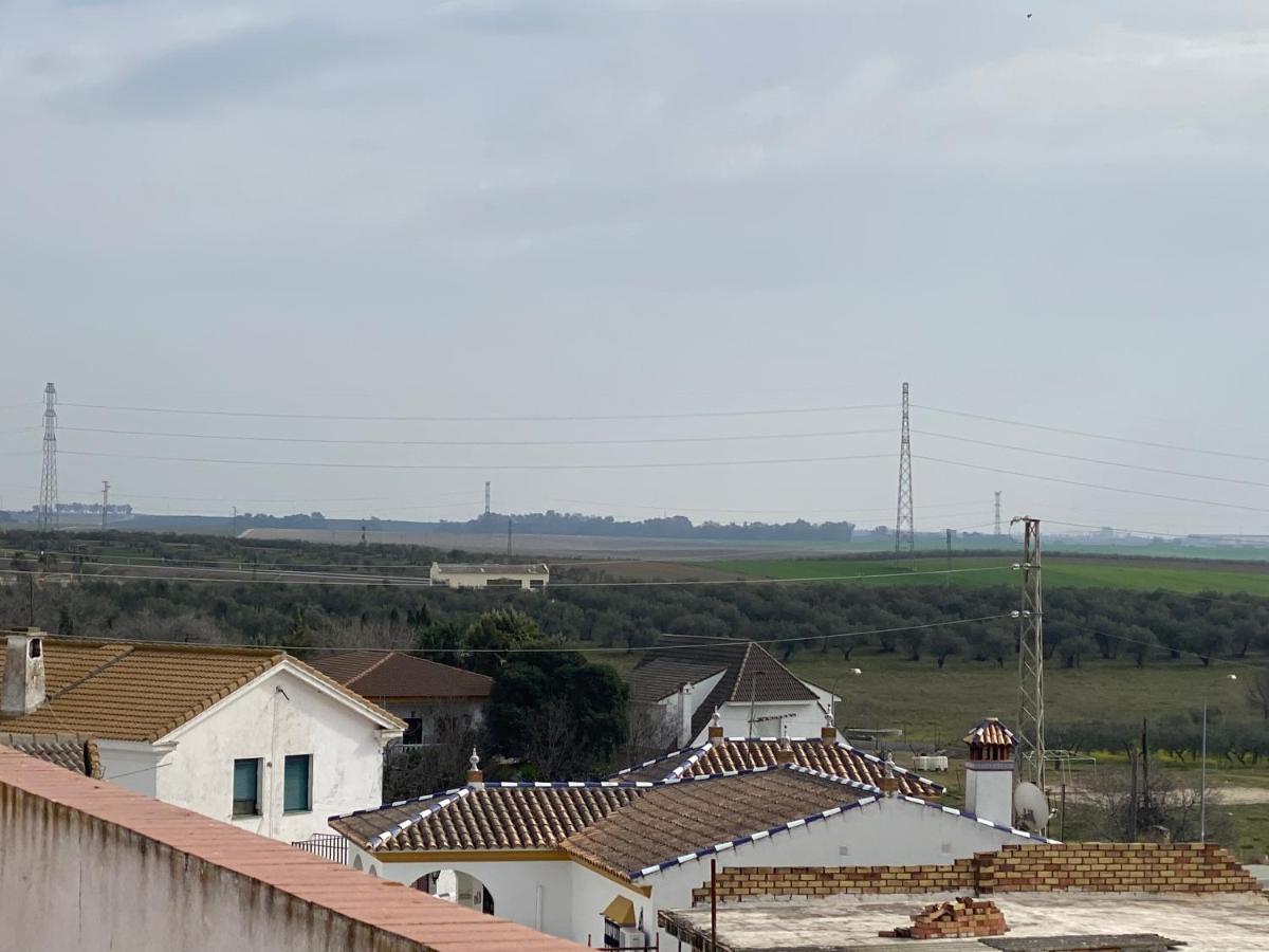 Sevilla. Gerena Casa Rural Para Familia O Profesionales Exteriér fotografie